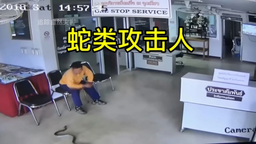 澳门六合2025全年,王者新赛季段位继承,成语解释落实可能存在的问题_工具版V11.82